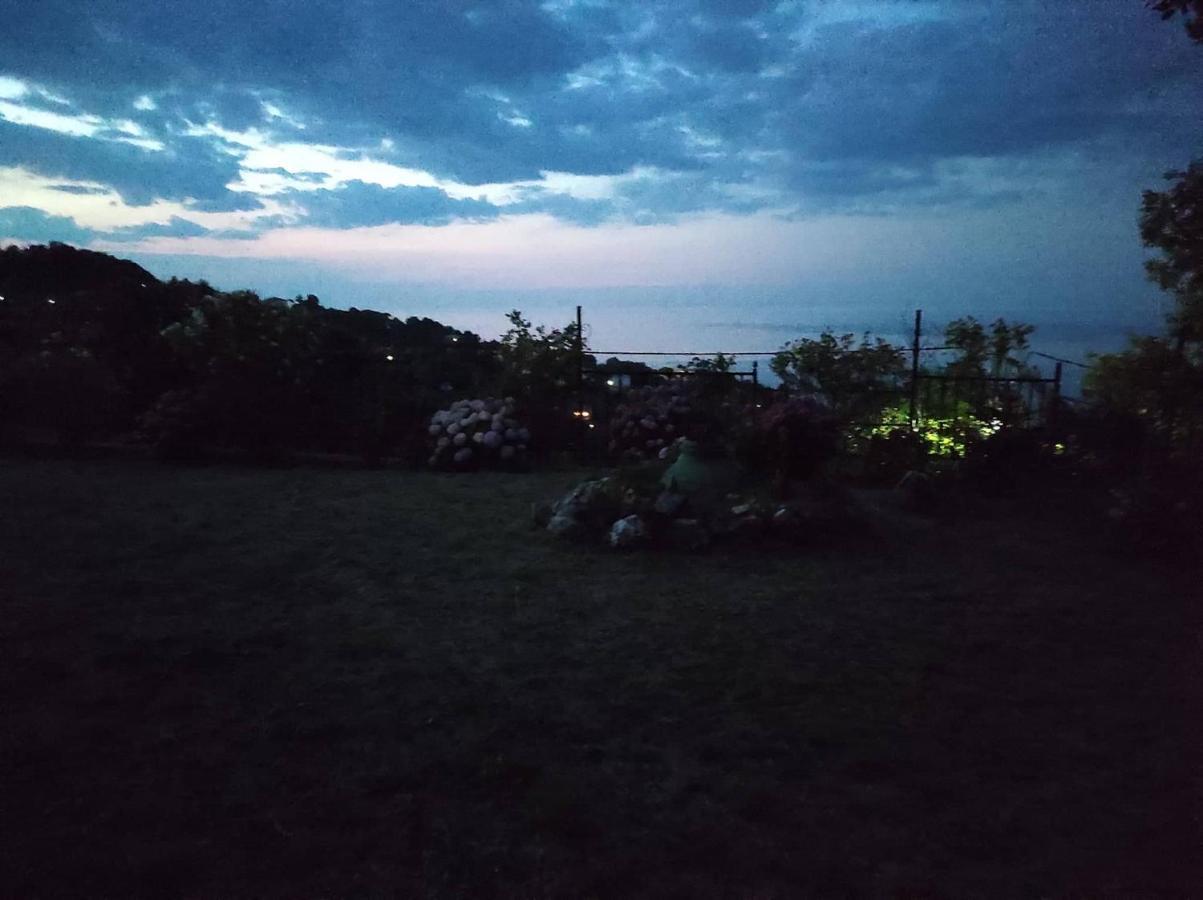 Diogenis Hotel Tsagkarada Buitenkant foto