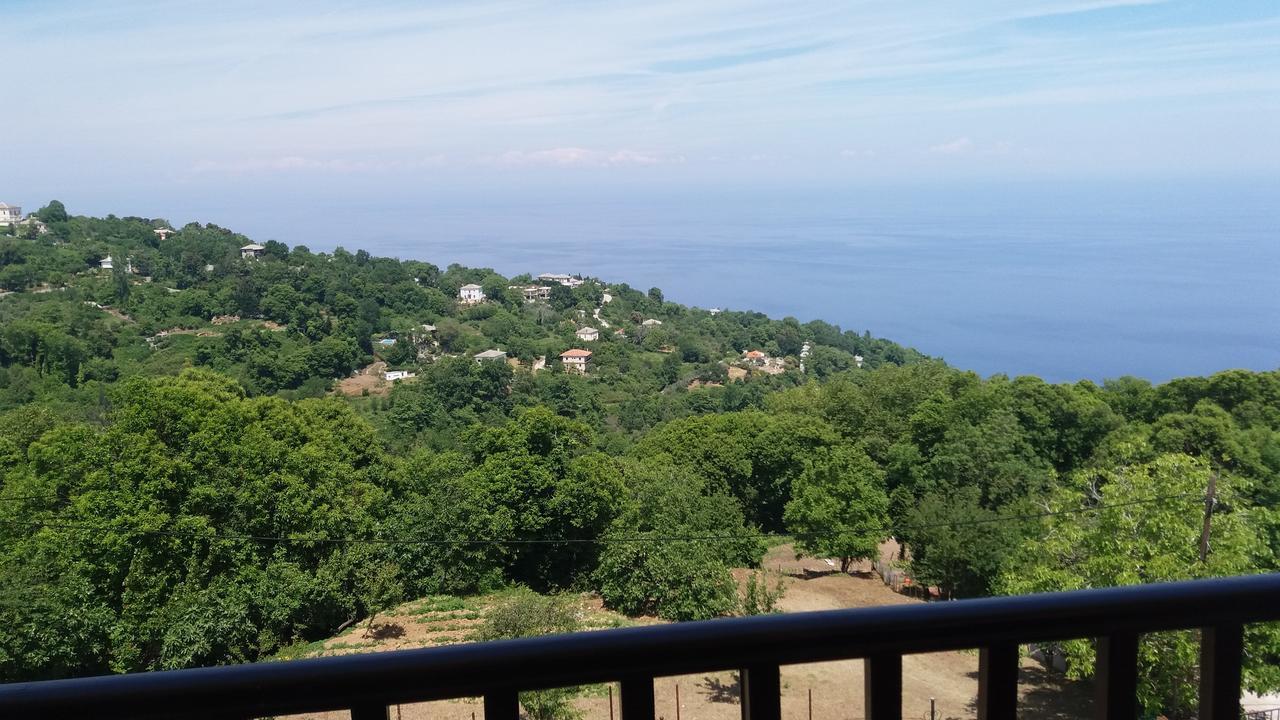 Diogenis Hotel Tsagkarada Buitenkant foto