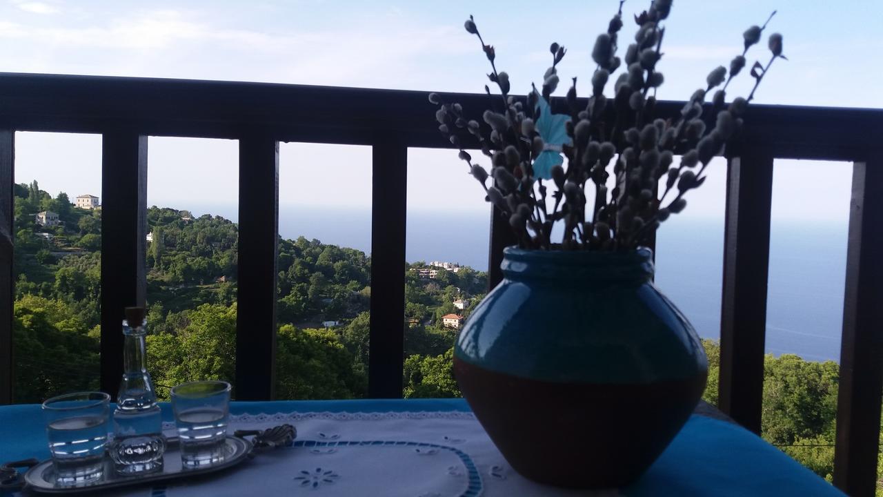 Diogenis Hotel Tsagkarada Buitenkant foto