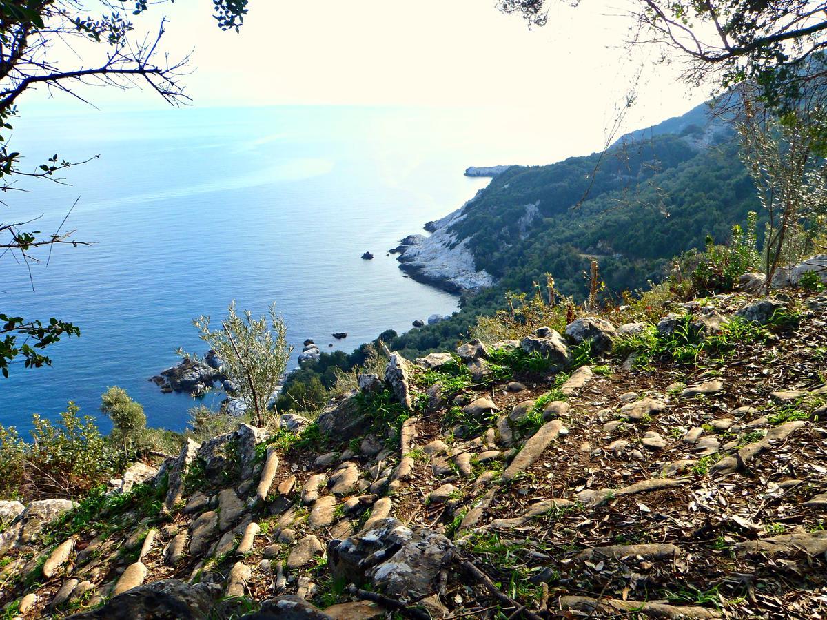 Diogenis Hotel Tsagkarada Buitenkant foto